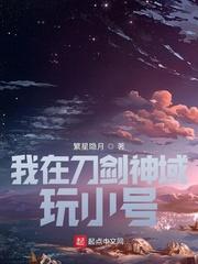刀剑神域之满级账号