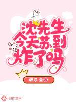 沈先生夫人今日又在作死了全文免费阅读