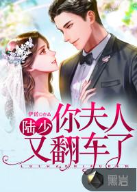 陆少夫人又掉马了免费阅读