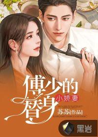 傅少的替婚娇妻