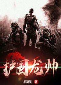 护国龙帅秦苍穹