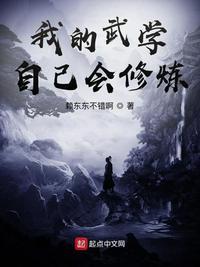 我的武学自己会修炼无错精修版