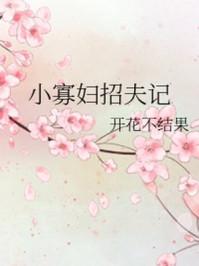 小寡妇招夫记 作者开花不结果