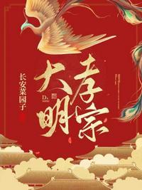 明孝宗吧