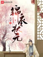锦衣状元笔