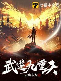 武逆九天百度百科等级