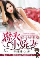 高冷老公小甜妻全文免费阅读