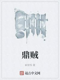鼎贼 简介