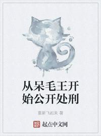 呆毛王开车