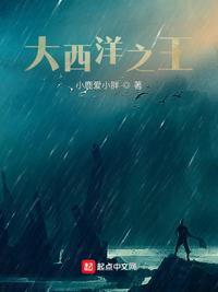 大西洋之滨