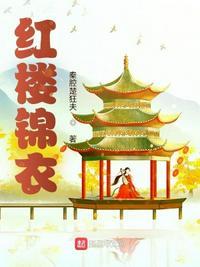 红楼锦衣卫短剧