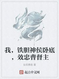 铁胆神侯总舵主