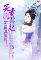 女佣兵穿越古代