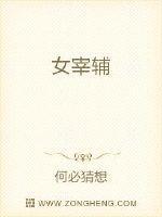 女宰辅扮演者是谁