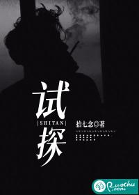 试探的成语
