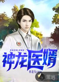 神龙医婿陈阳免费阅读全文