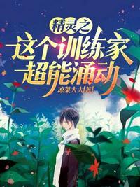 精灵之超神训练家