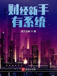 财经新手有系统txt百度
