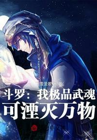 极品武魂