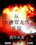 重生到大唐双龙传的世界