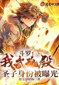 斗罗武魂殿圣子