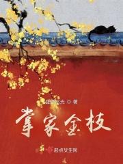 掌家金枝弃文最后怎么了