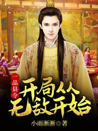 一品县令开局从无敌开始TXT全本