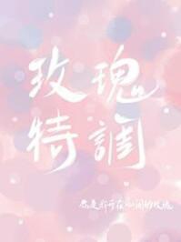 玫瑰特调殊娓讲的什么