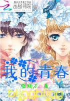 我的青春小鸟一去不回来
