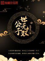 公子世无双讲的什么