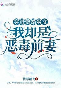 我穿成赘婿文男主的前妻