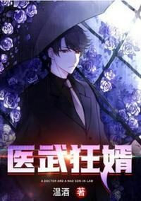 医武狂婿免费阅读