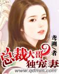 总栽独宠妻