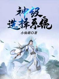 娱乐神级选择系统