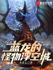 浮空龙防具