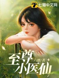 至尊小医仙txt