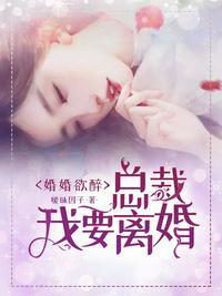 总裁我要离婚 叶以宁 沈盛勋哪章开始
