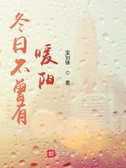 冬日不曾有暖阳简介
