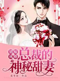 总裁的神秘甜妻免费阅读全文无弹窗