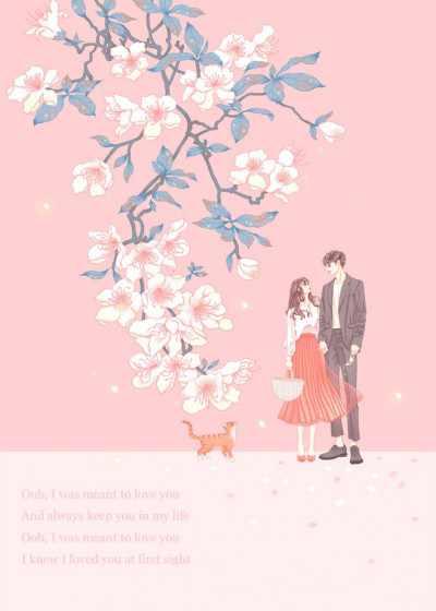 黎米京廷电视剧