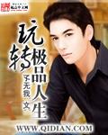 玩转极品人生txt