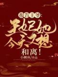 报告王爷王妃她今天又想和离了免费