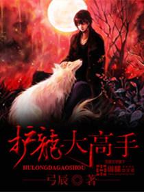 护龙高手卫小保评价