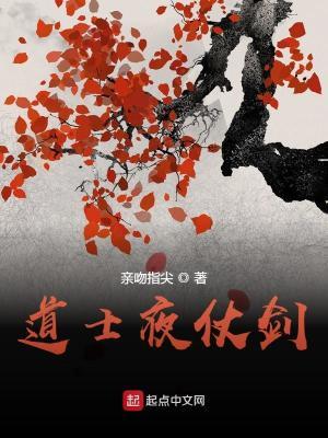 道士夜仗剑等级划分