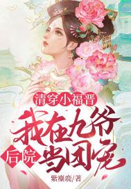 清穿九爷的侧福晋