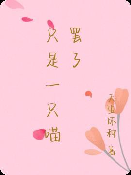 只是一只猫