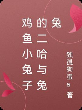 兔子和二哈