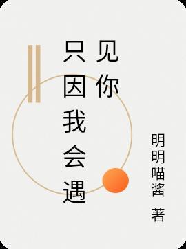 只因为遇见了你...求歌名