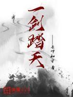 一剑走天涯是啥意思