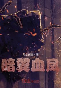 暗翼吃磨损吗